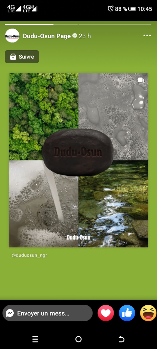 Dudu-Ousun savons noir