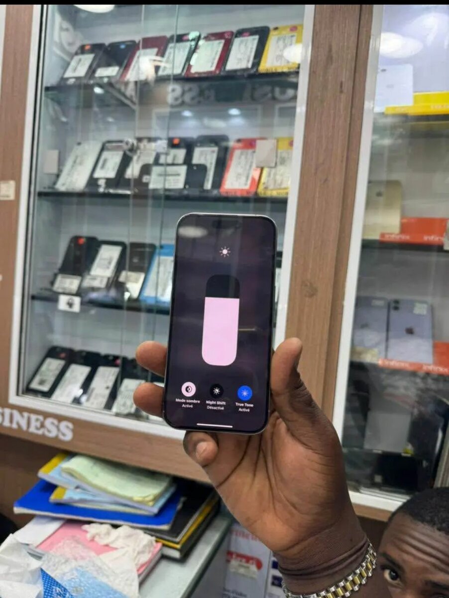 iPhone 14 Pro Max Argent