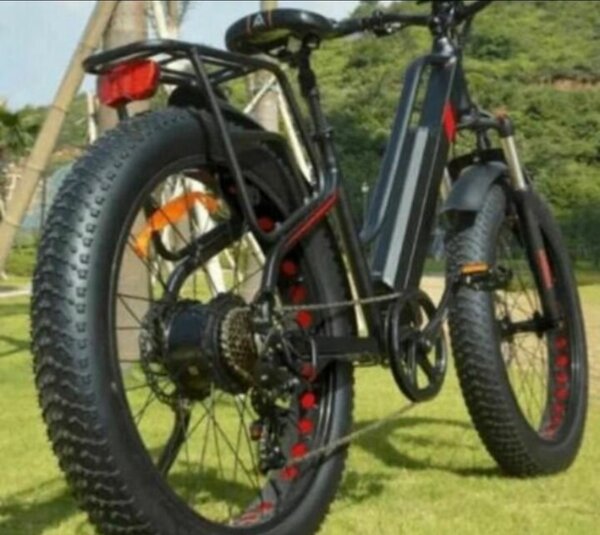 Vélo électrique tout-terrain