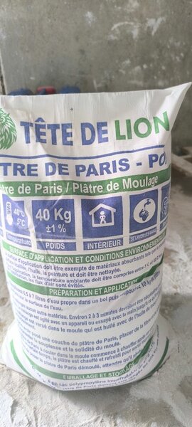 Plâtre de Paris Tête de Lion