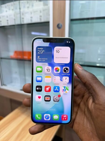 iPhone 12 Pro Max - Mint