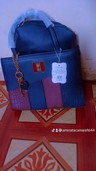 Sac à dos élégant pour femmes