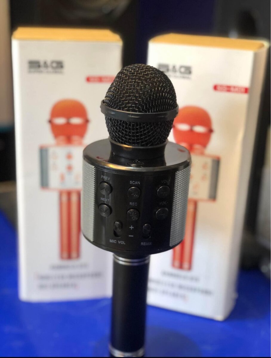 Micro baffe Karaoké SG -M01