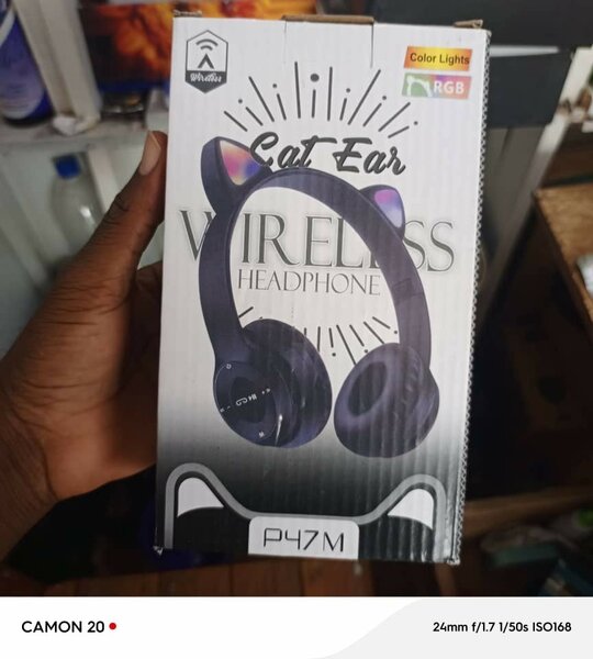 Casque p47 chat