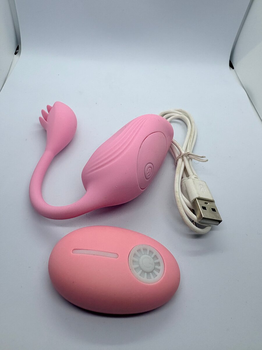 Œuf vibrant télécommandé USB