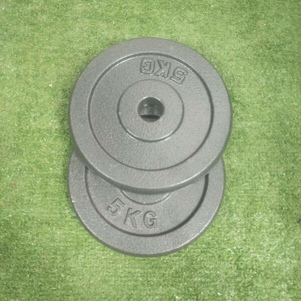 Gym weight (plate)