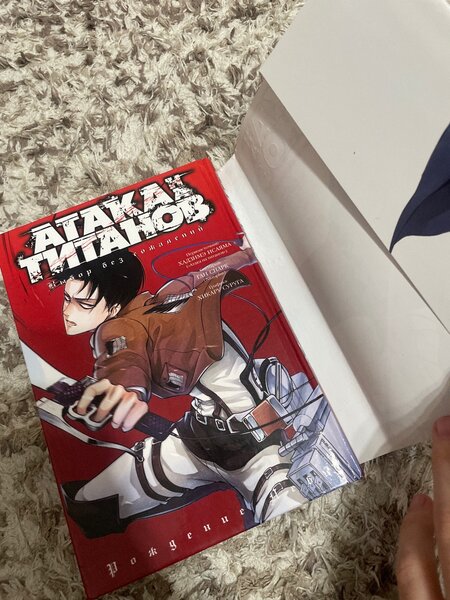 Атака Титанов( выбор без сожалений)