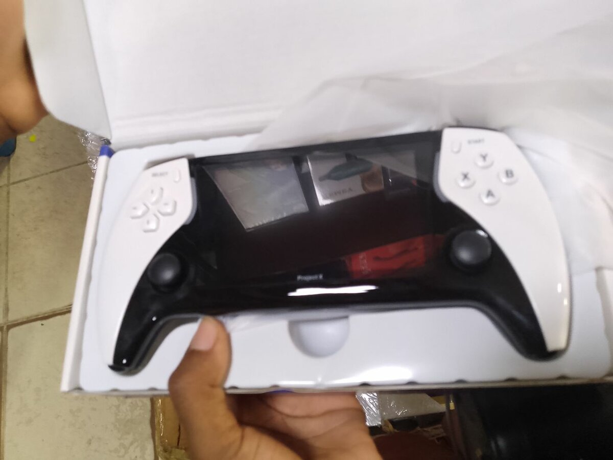 Console de jeu portable Project X