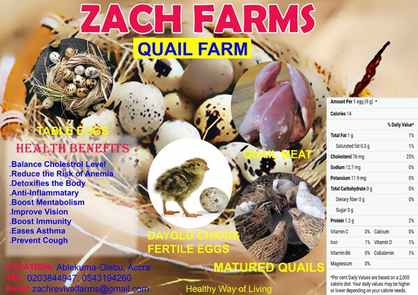 Quail Eggs