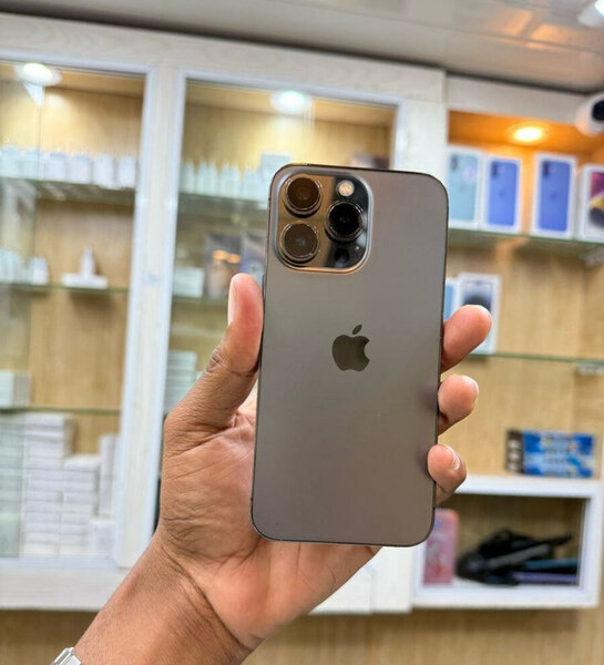 iPhone 15 Pro Max Gris