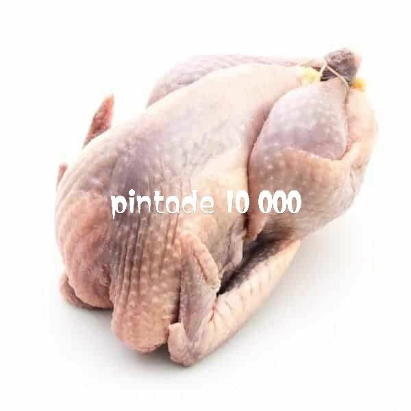 Volaille fraîche Pintade