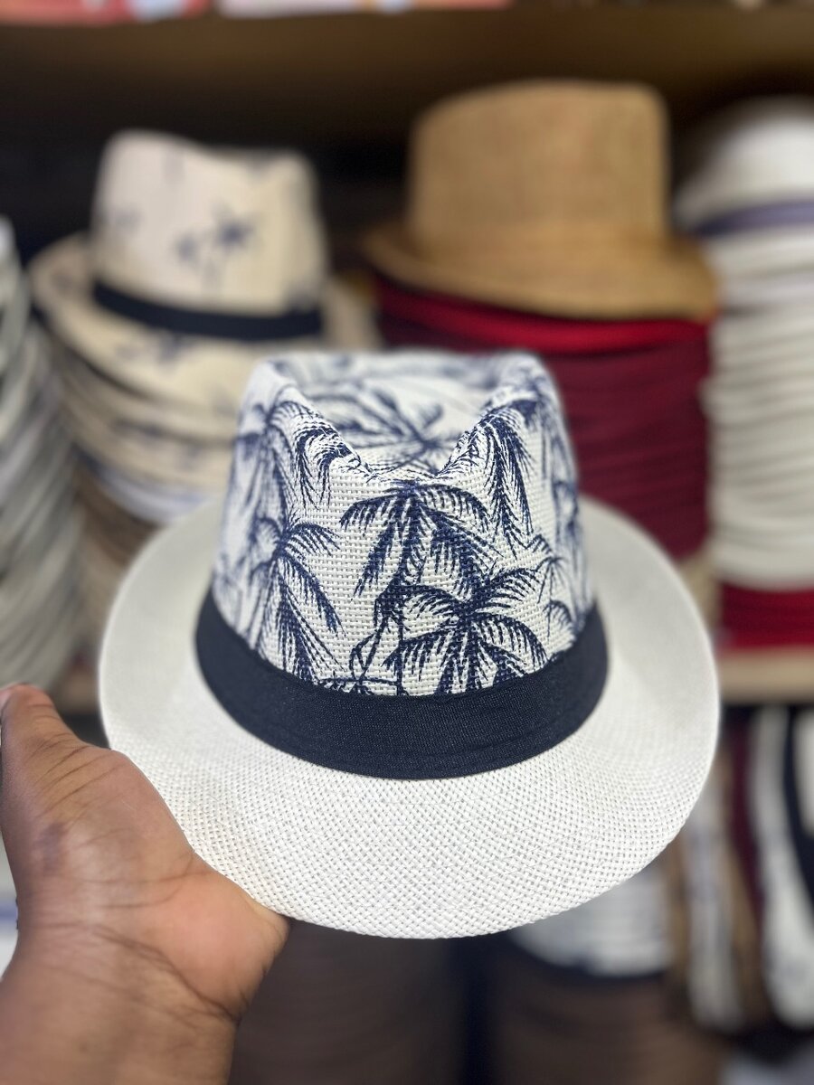 Chapeau Panama mixte