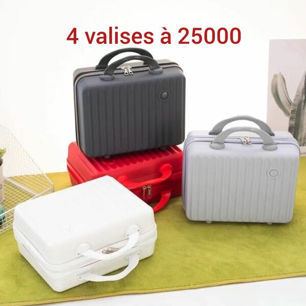Valises rigides élégantes