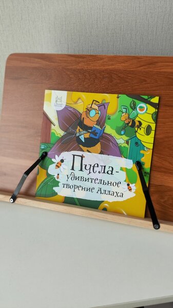 Удивительные творения Аллаха