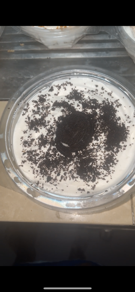 Délice crémeux Oreo