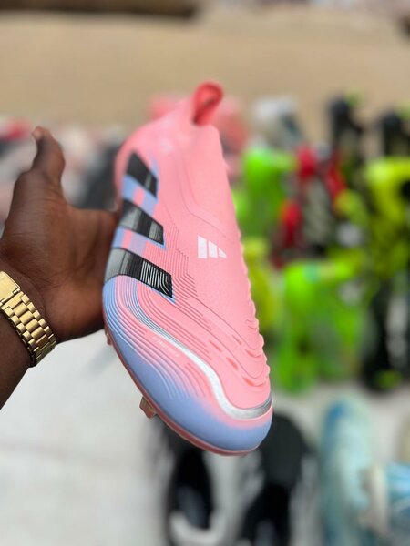 Paire de magre
