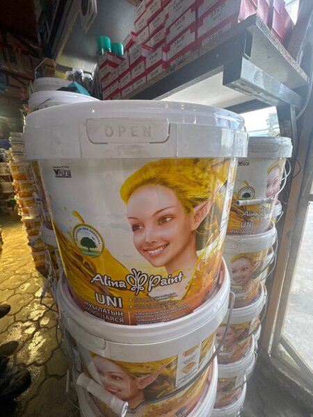 Алина пойнт Уни