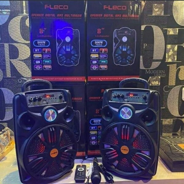 Enceinte Bluetooth Puissante Fleco