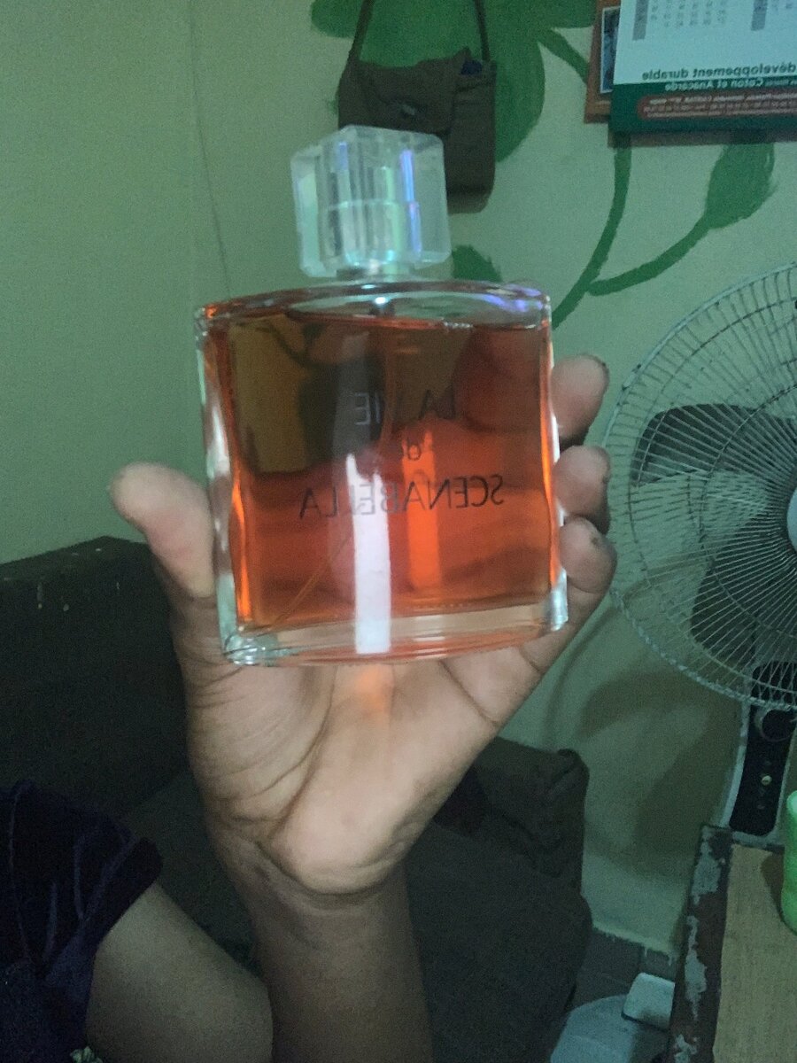 Parfum Eau de Toilette 100ml