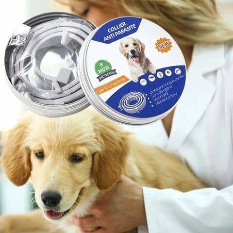 Collier Anti-parasite pour Chiens