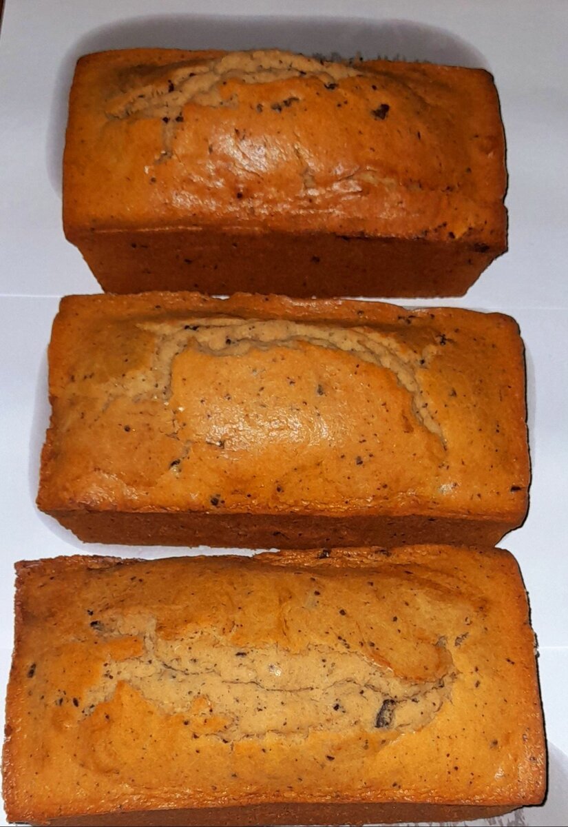 Chocolate chips cake