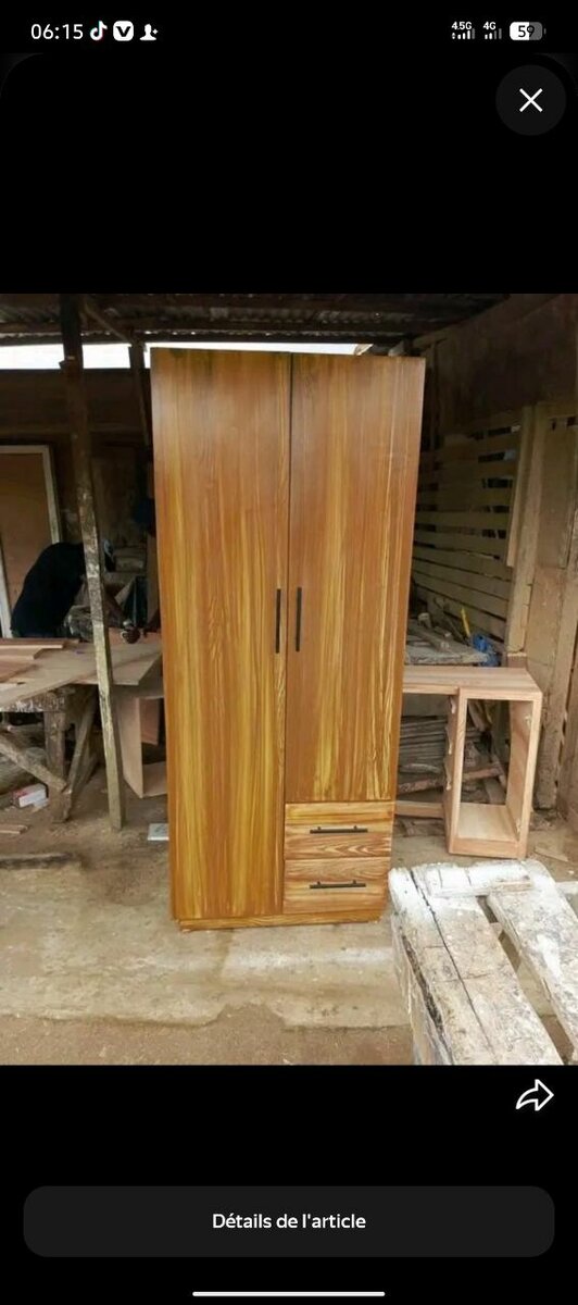 Armoire en bois moderne