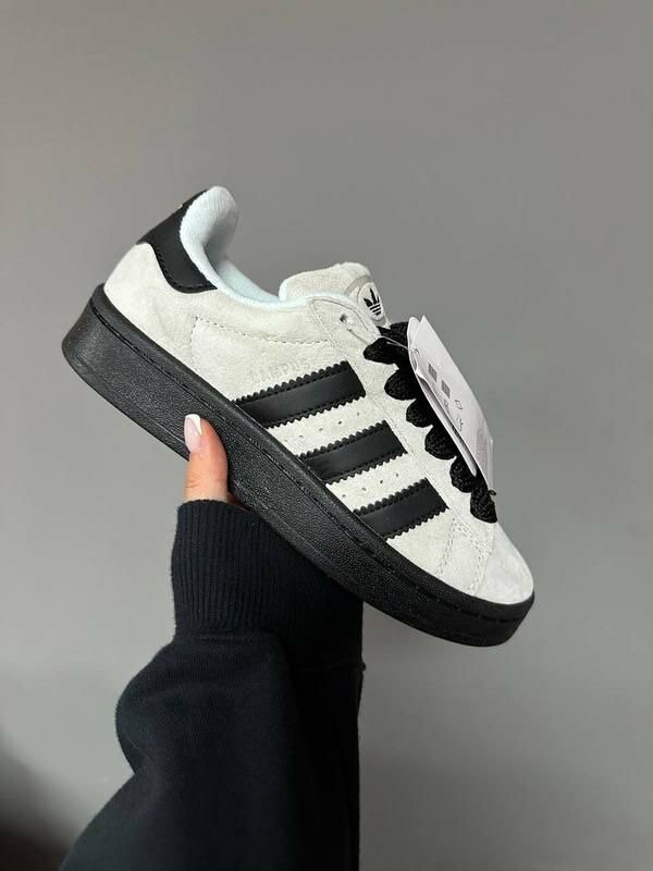 Chaussure Adidas campus