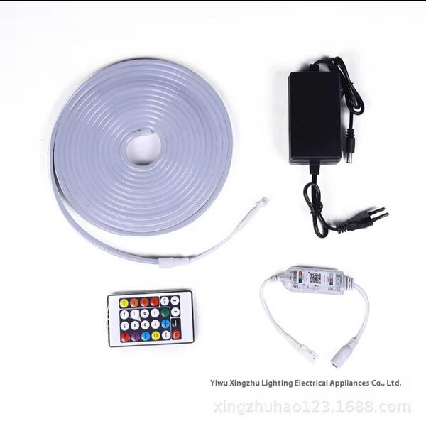 Ruban LED Néon RGB Multicolore