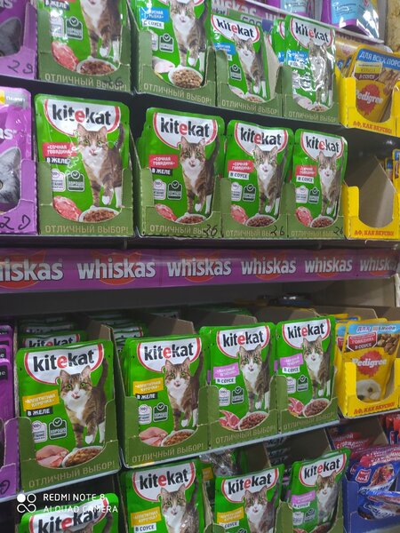 Влажный корм для кошек