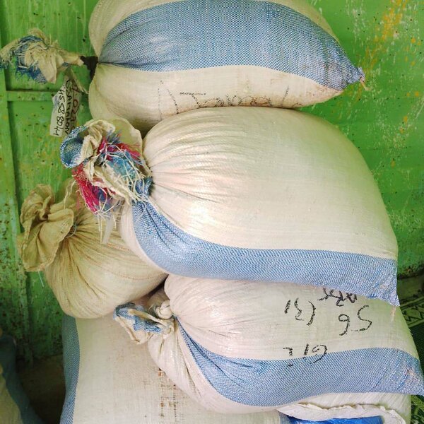 Arachides crues en vrac