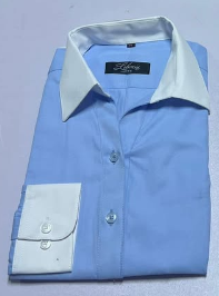 Ladies smart shirts blue