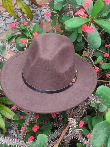 Fedora hat