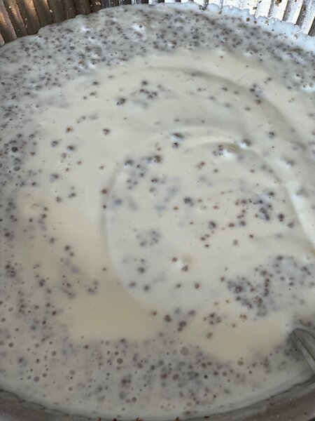 Boissons Probiotiques Maison