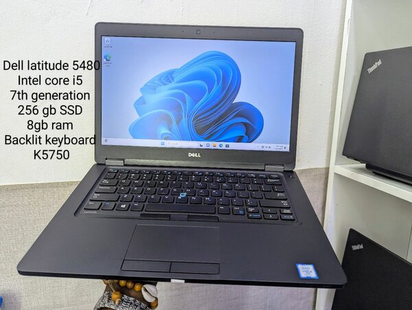 Dell latitude 5480