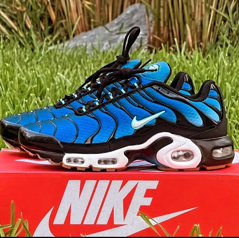 Nike air max plus
