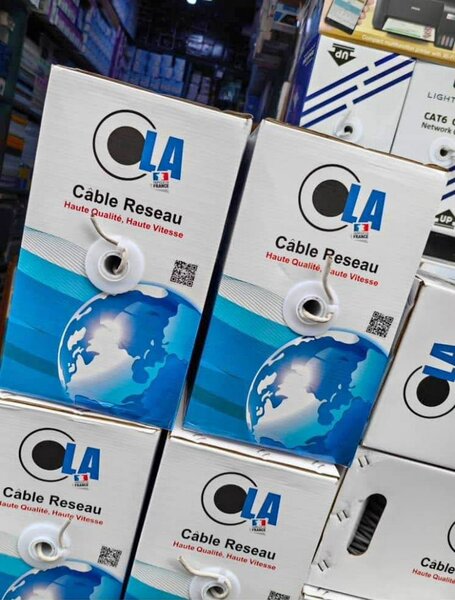 Câble Réseau Cat6 Haute Vitesse