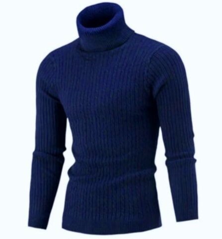 Pull Col Roulé Bleu Homme