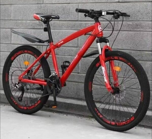 Vélo tout-terrain robuste