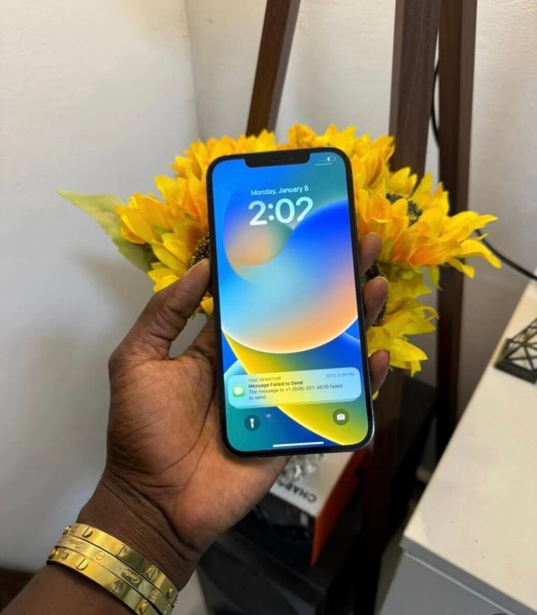 iPhone 12 Pro Max 128GB factual unlocked
