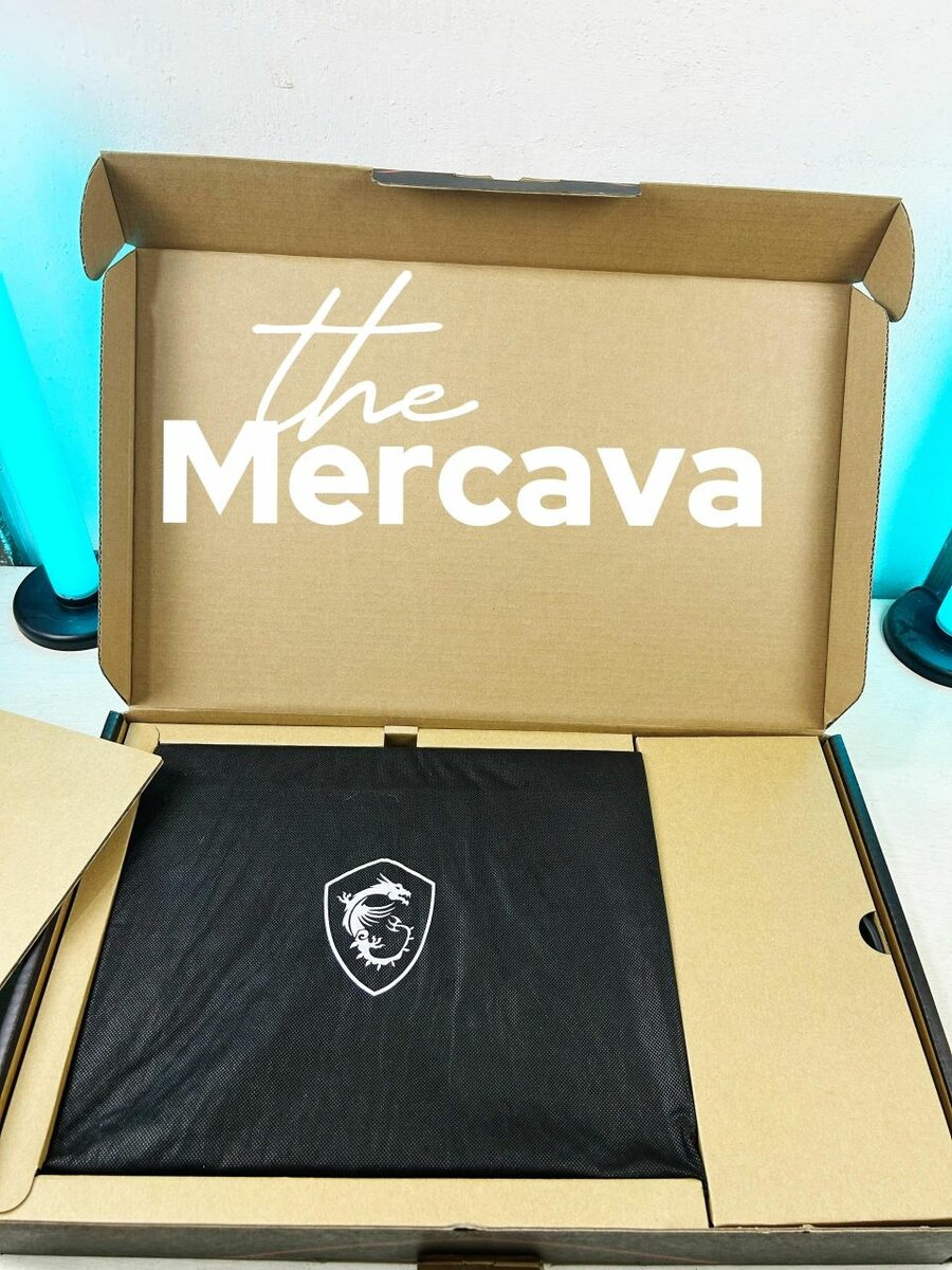 Ordinateur MSI Vector Gaming