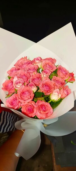 Pink Roses