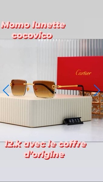 Lunettes de soleil élégantes