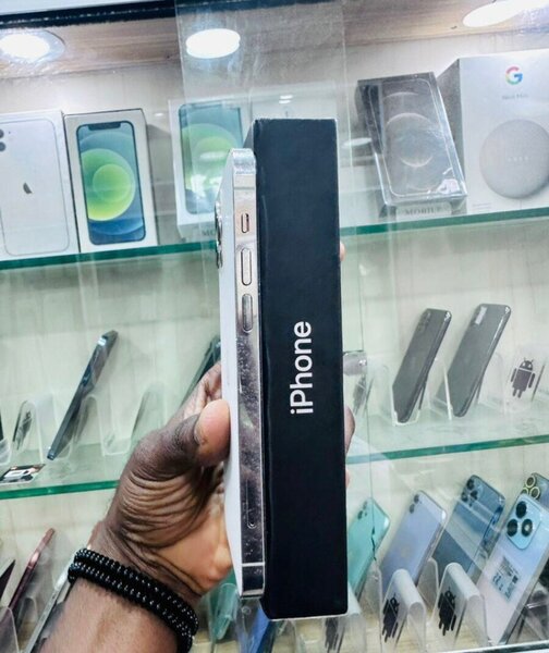 iPhone 13 Pro Max 256GB