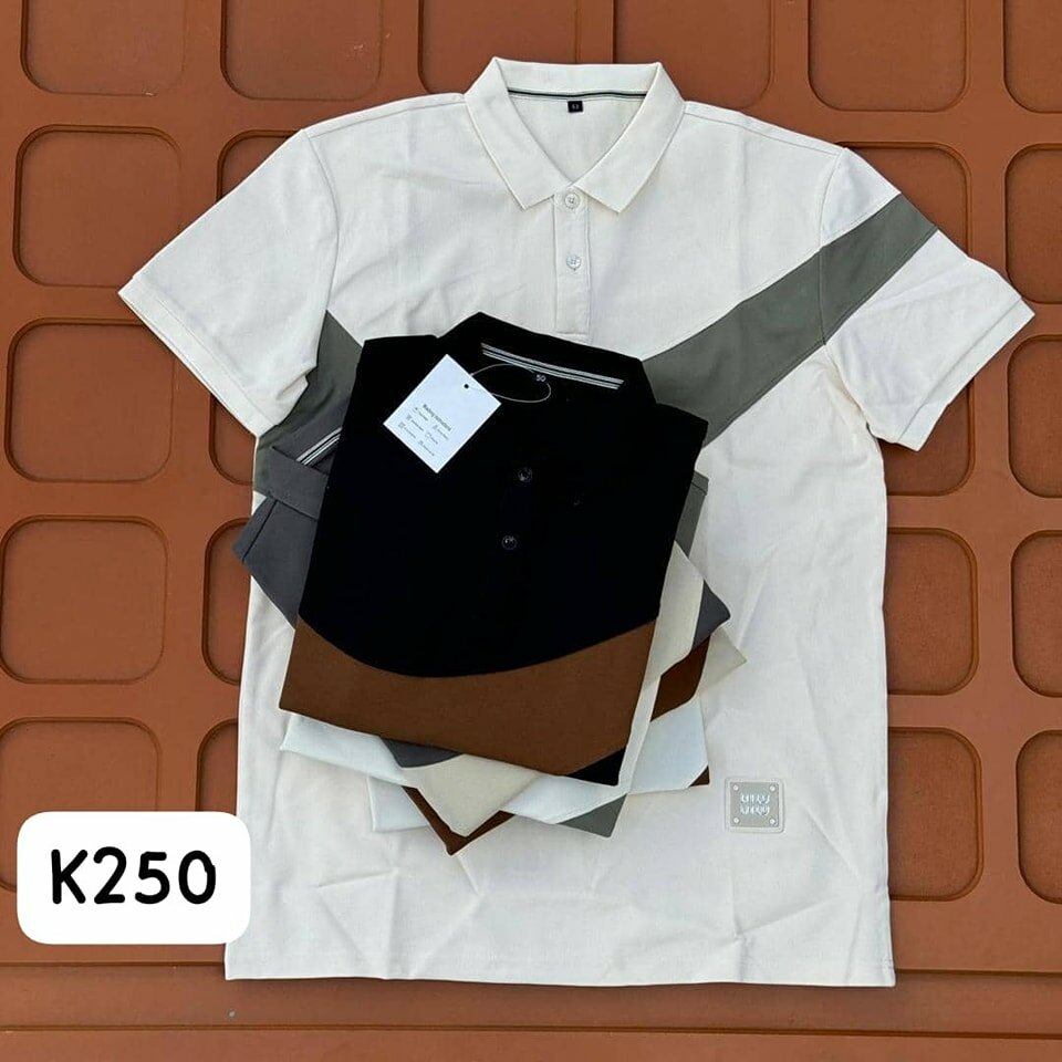 Beautiful and stylish Polo shirt