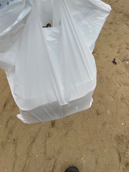 Salade nature +œuf+pain + mayo