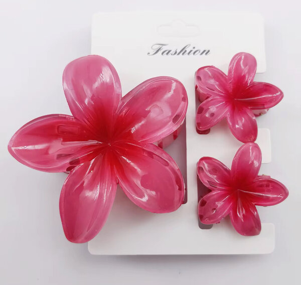 Pinces à cheveux fleurs colorées