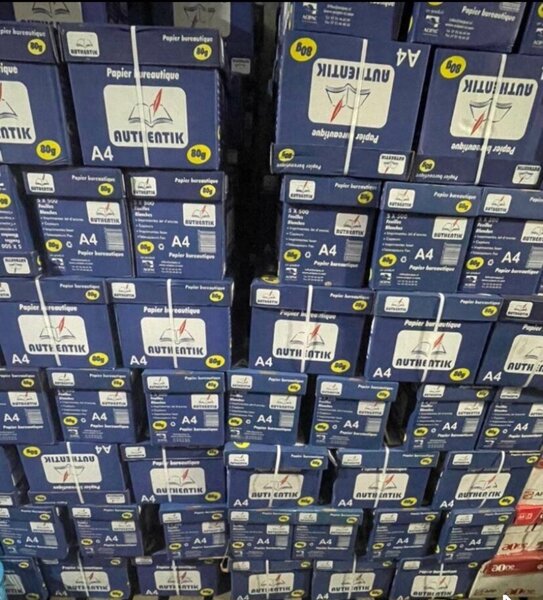 Papier A4 Authentik 80g