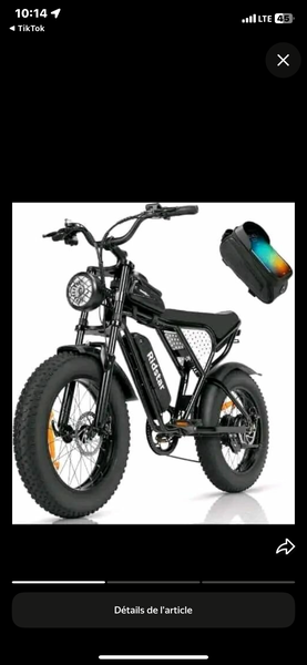 Vélo électrique tout-terrain robuste