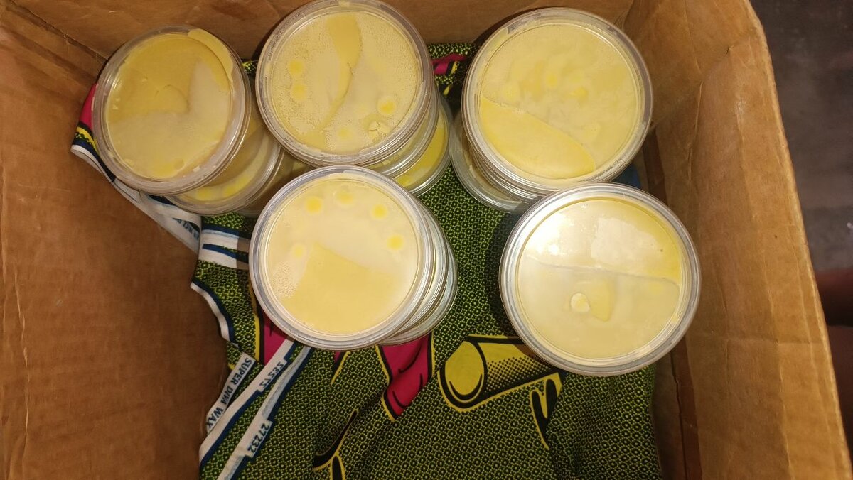 Beurre de cacao pur 250g