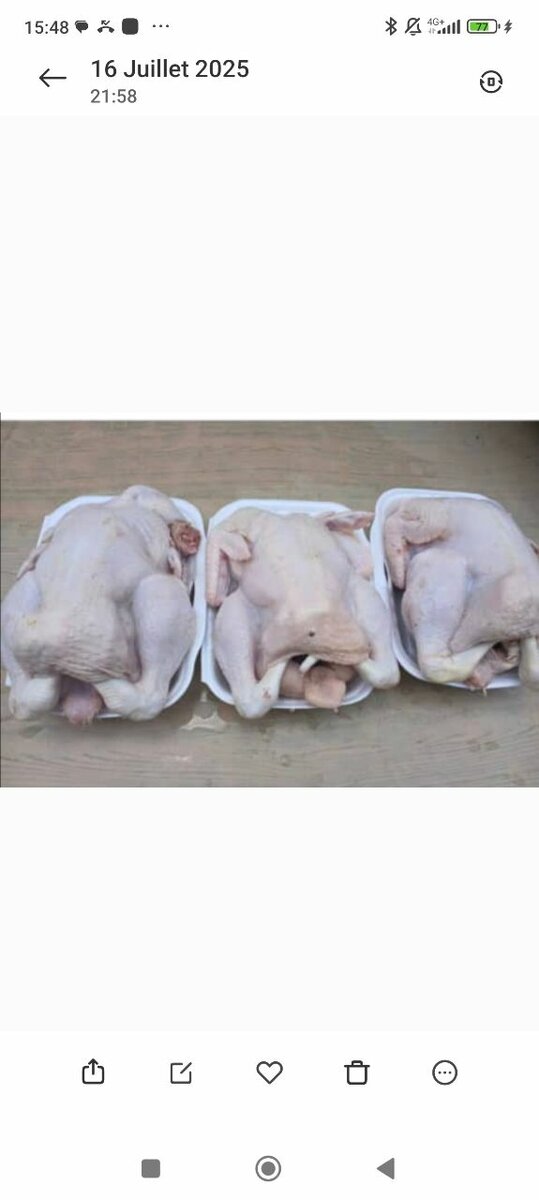 Poulets Fermiers Frais